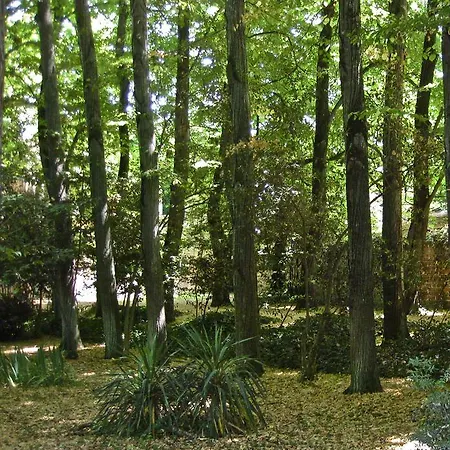 Carolina * San Valentino in Abruzzo Citeriore